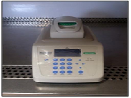 pcr.JPG