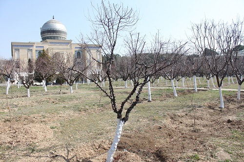 تصویر کوچک