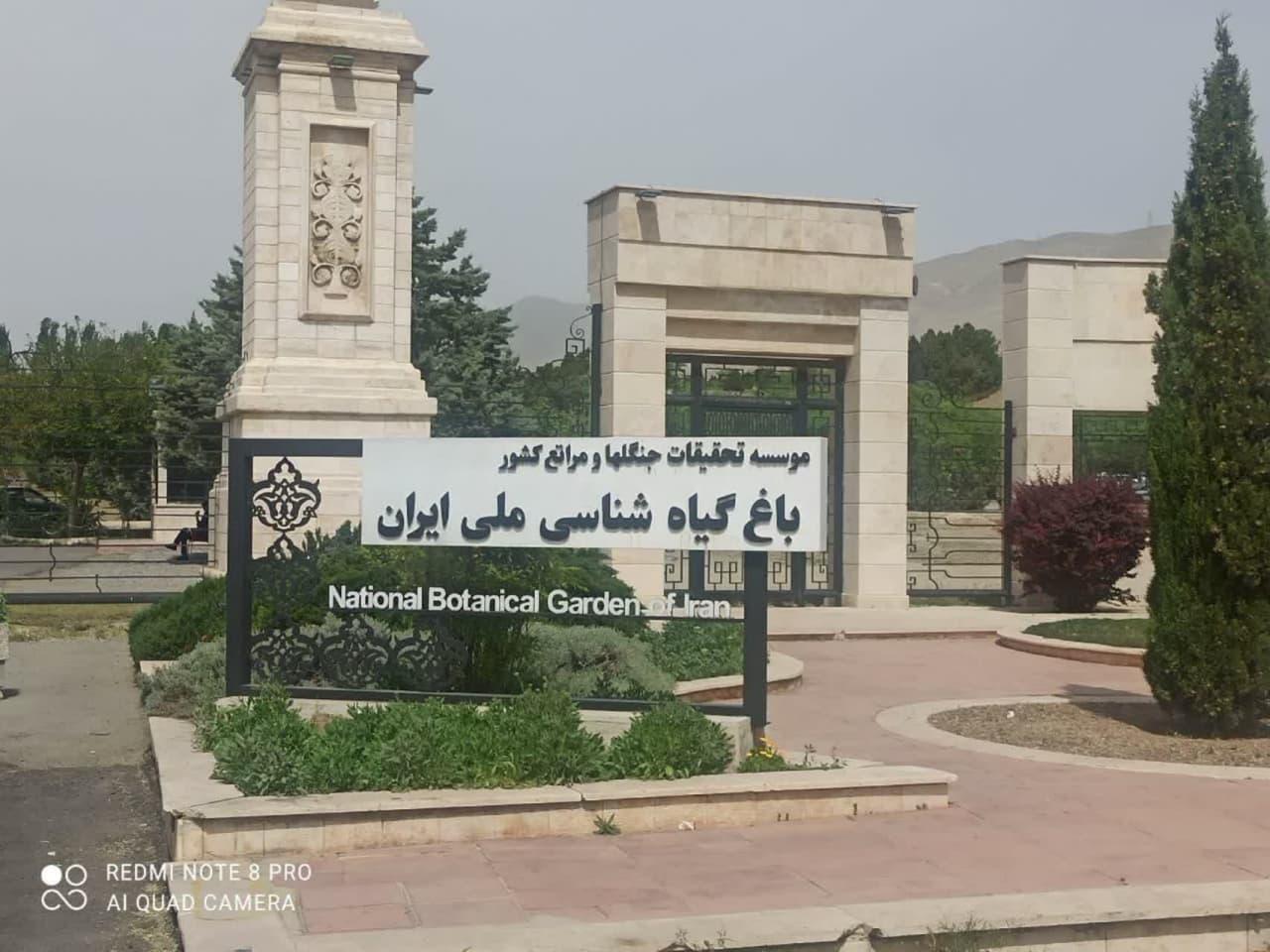 تصویر کوچک