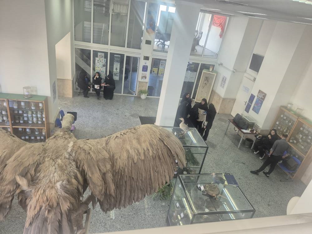 تصویر کوچک
