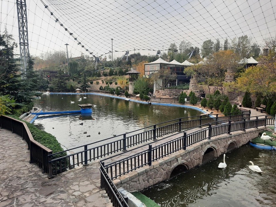 تصویر کوچک